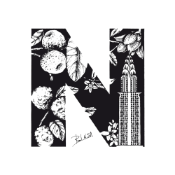 NYC – New York City  EAU de Toilette 100 ml -  Santi Burgas ¡Asesoría y Envíos Gratis!