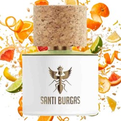 Verdant Delivm 100 ml - Santi Burgas Darmowa porada i przesyłki!