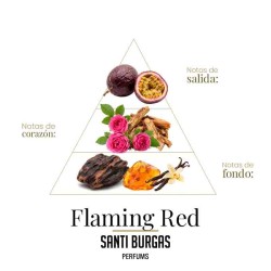 Flammend rot 100 ml - Santi Burgas Kostenlose Beratung und Sendungen!