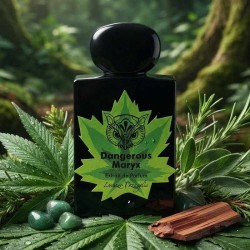 Dangerous Maryx Extrait de Parfum - Lorenzo Pazzaglia ¡Asesoría y Envíos Gratis!