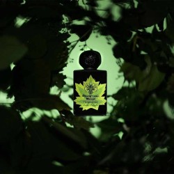Farlig Marylex Extract av Parfum 50 ml - Lorenzo Pazzaglia