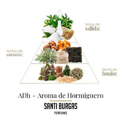 ADH  -  Trtminer 100 ml  -  Santi Burgas