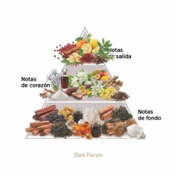 Dunkle Florum - Lorenzo Pazzaglia