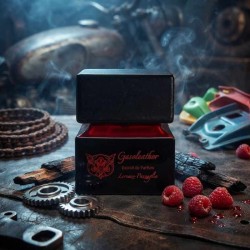 Gasoleather - lorenzo Pazzaglia ¡Asesoría y Envíos Gratis!