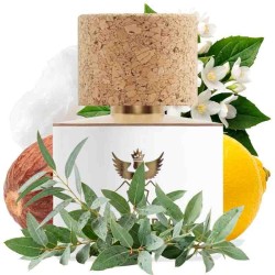 贝蒂小姐vair 100 ml  -  Santi Burgas