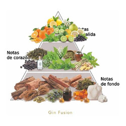 Gin Fusion - Lorenzo Pazzaglia