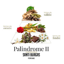 Palindrome II 100 ml - Santi Burgas