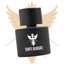 Palindrome II 100 ml - Santi Burgas ¡Asesoría y Envíos Gratis!