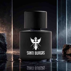 Palindrome II 100 ml - Santi Burgas ¡Asesoría y Envíos Gratis!