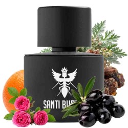 Palindrome III Eau de Parfum 100 ml - Santi Burgas ¡Envíos Gratis!
