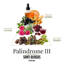 Palindrome III Eau de Parfum 100 ml - Santi Burgas