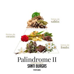 Ustaw palindrom 3 x 3 ml - Santi Burgas Darmowa porada i przesyłki!