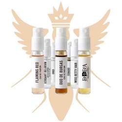 Hvit samling Discovery Set - Santi Burgas Gratis råd og forsendelser!