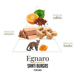 Weiße Sammlung Entdeckung Set - Santi Burgas