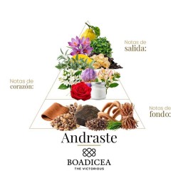 Andraste - Boadicea de zegevierende advies en gratis verzending!