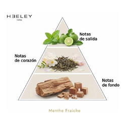 Menthe Fraiche  -  James Heeley