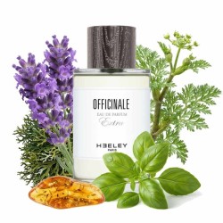 OFFICINALE - James Heeley Advisory og Free Shipping!