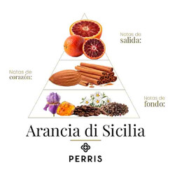 Di Sicily Rencia - Perris Monte Carlo