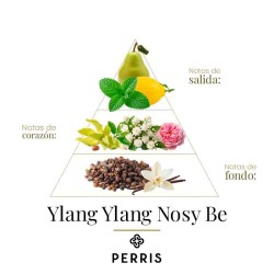 YLANG YLANG NOSY BE - Perris Monte Carlo Бесплатный консалтинг и доставка!