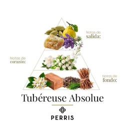 Tubereuse Absula - Perris Monte Carlo Advisory och gratis frakt!