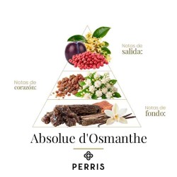 Absolute D'Osmanthe - Perris Monte Carlo consultivo e spedizione gratuita!
