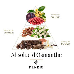 绝对D'Osmanthe  -  Perris Monte Carlo