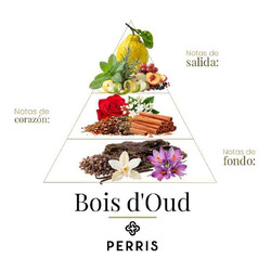 Bois D 'Oud - Perris Monte Carlo