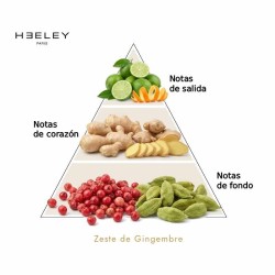 Zeste de Gingembre - James Heeley ¡Asesoría y Envíos Gratis!