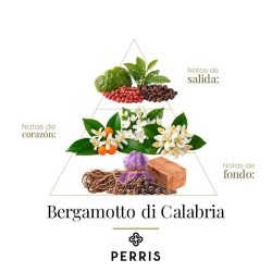 Bergamotto di Calabria - Consigli di Perris Monte Carlo e spedizione gratuita!