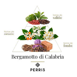 Bergamotto di Calabria - Perris Monte Carlo ¡Asesoría y Envíos Gratis!
