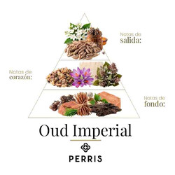 Discovery Set Black Collection 10 x 2 мл - Перрис Монте-Карло
