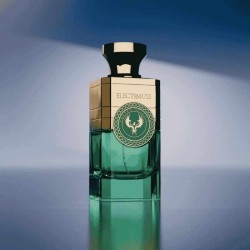Vesper Reverie - Electimuss