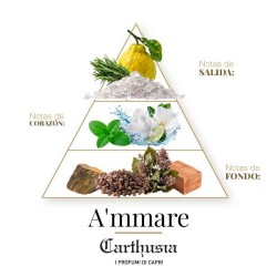 Carthusia  -  a'mmare Carthusia 100毫升