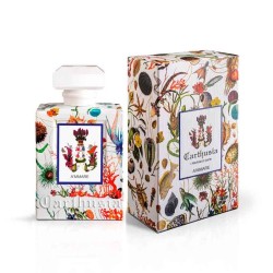 Carthusia - A'Mmarare Carthusia 100 ml