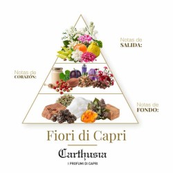 Carthusia  -  fiori di capri eau de parfum  - 花卉女人。