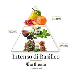 Intense Di Basilico perfume - Carthusia | Perfumery Laura - Free Shipping