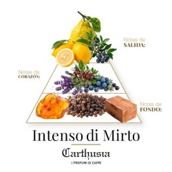 Intenso di Mirto - Carthusia ¡Asesoría y Envíos Gratis!