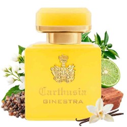 Intenso di Ginestra - Carthusia ¡Asesoría y Envíos Gratis!