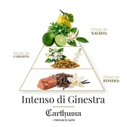 Intensive Parfüm di Ginestra 50 ml - Carthusia | Parfümerie-Laura - Kostenloser Versand