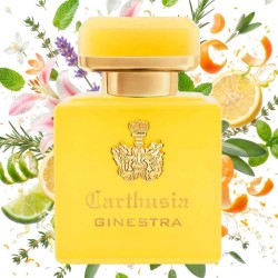 Perfume intenso di Ginestra 50 ml - Carthusia | Perfumaria Laura - Frete Grátis
