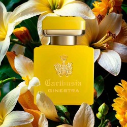 Perfume intenso di Ginestra 50 ml - Carthusia | Perfumaria Laura - Frete Grátis