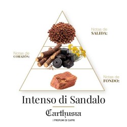 Perfume Intenso di Sandalo - Carthusia ¡Asesoría y Envíos Gratis!