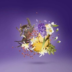 Purple Accento (Swarovski) - Xerjoff