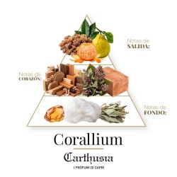 Carthusia  -  Corallium Eau de Parfum  -  amaderated uniSex。