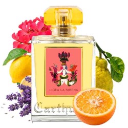 Carthusia - ЛЮДЕЙНЫЙ ЕВЕ ДЕГО PARFUM - Осторожная женщина.