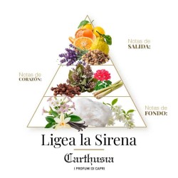 Carthusia - Lighteen Eau de Parfum - mulher cuidadosa.