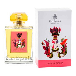 Carthusia  - 灯光eau de parfum  - 仔细的女人。
