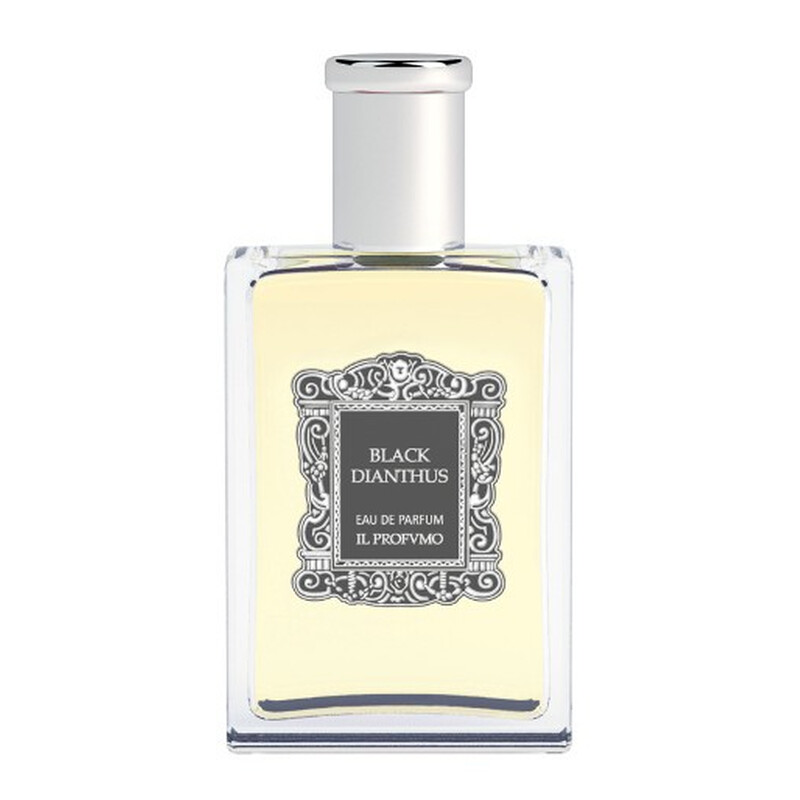 Black Dianthus 100ml