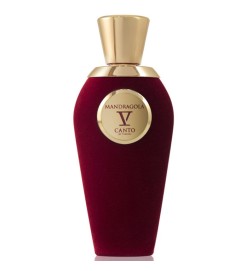 V Canto - Mandragola Extrait Parfum 100 ml ¡Envíos Gratis!