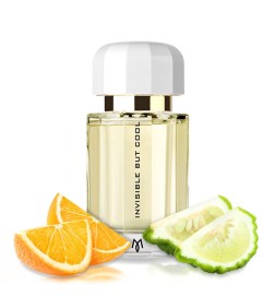 Usynlig men cool parfum cologne 100 ml - Ramon Monegal